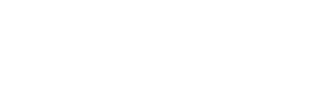 wellmasterpro